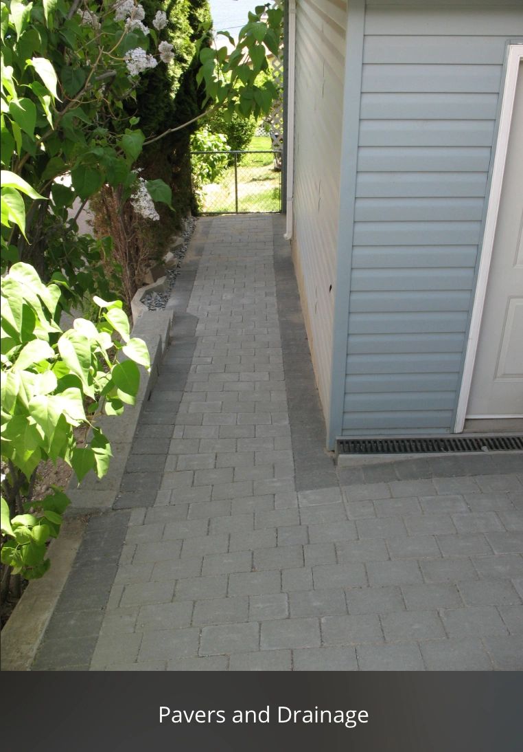 Stone pathway and backyard maintenance 