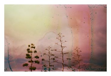 Ren Rox, photography, analogue, 35mm film, agave, landscape, travel, experimental, canarias