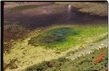 Ren Rox, 35mm landscape photography, shot on film, Kodak Portrait, Kodak Ektar. León, Spain 