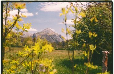 Ren Rox, 35mm landscape photography, shot on film, Kodak Portrait, Kodak Ektar. León, Spain 