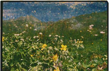 Ren Rox, 35mm landscape photography, shot on film, Kodak Portrait, Kodak Ektar. León, Spain 