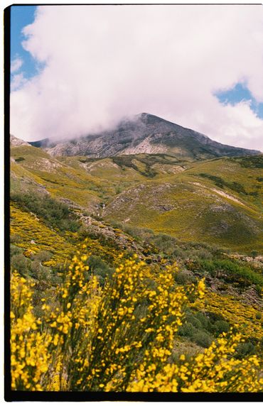 Ren Rox, 35mm landscape photography, shot on film, Kodak Portrait, Kodak Ektar. León, Spain 