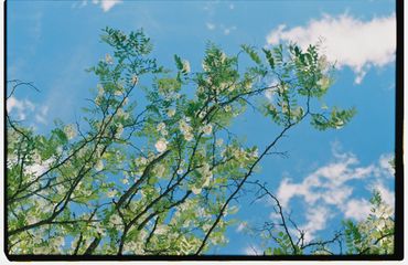 Ren Rox, 35mm landscape photography, shot on film, Kodak Portrait, Kodak Ektar. León, Spain 