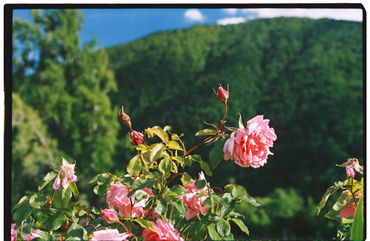 Ren Rox, 35mm landscape photography, shot on film, Kodak Portrait, Kodak Ektar. León, Spain 