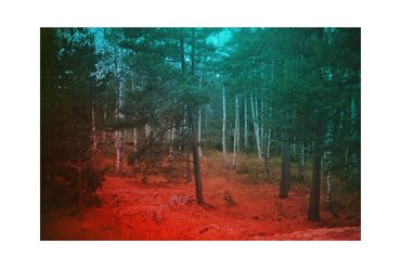 Ren Rox, photography, photographer, analogue, 35mm film, landscape, travel, experimental, sweden