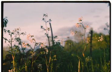 Ren Rox, 35mm landscape photography, shot on film, Kodak Portrait, Kodak Ektar. León, Spain 