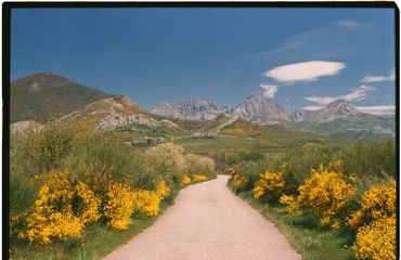Ren Rox, 35mm landscape photography, shot on film, Kodak Portrait, Kodak Ektar. León, Spain 