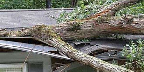 Emergency disaster cleanup and restoration services.