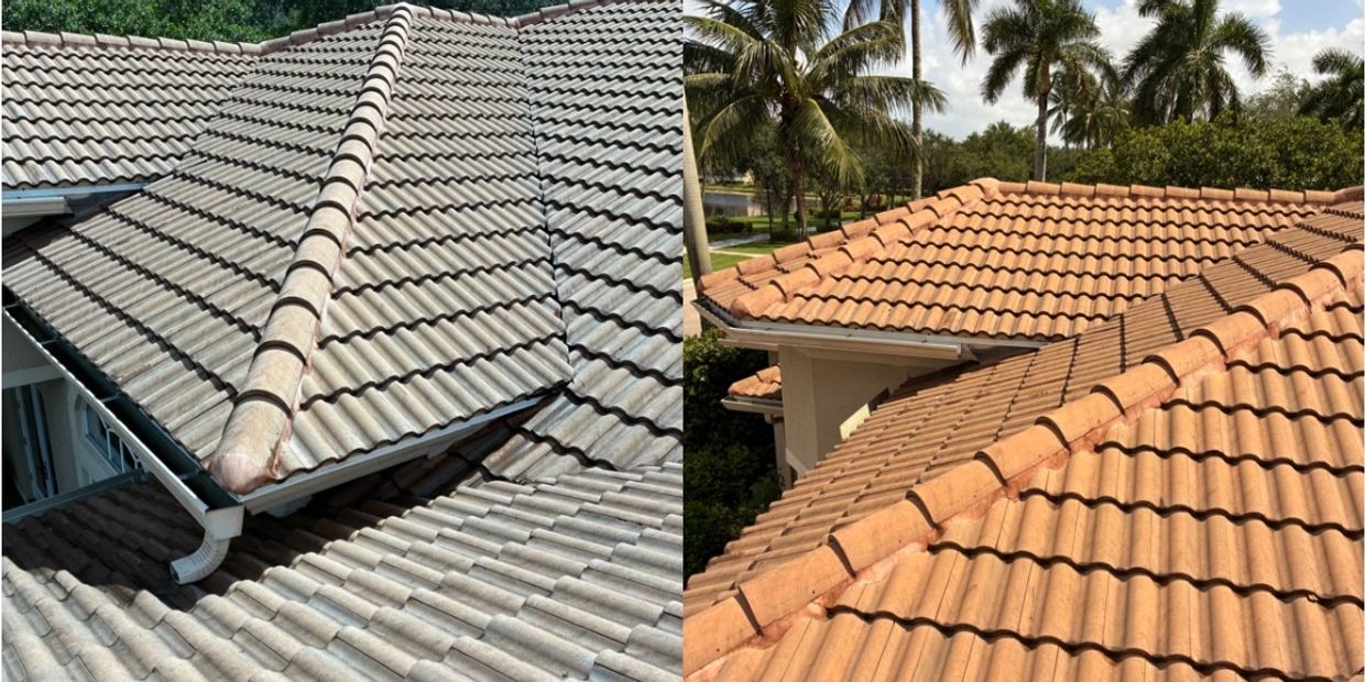 before and after roof cleaning 