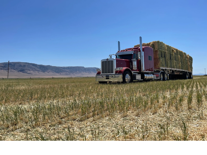 Flatbed Hay Freight Broker