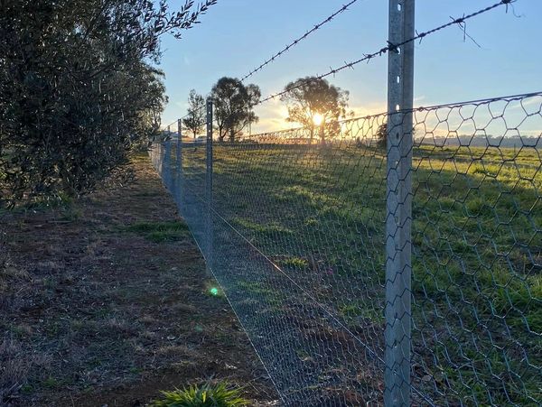 Sunset over a wire fence bordering a grassy field with trees.