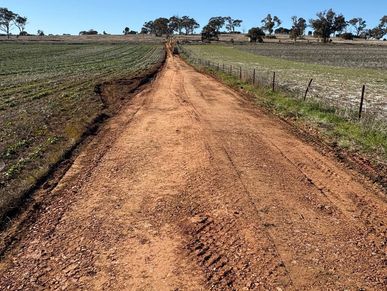 Dirt road stretching through rural farmland under a clear blue sky.