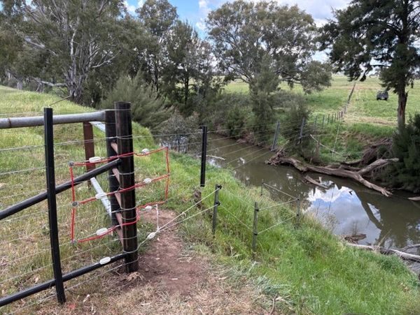 Electric fence gate by a creek in a rural area with trees and grass.