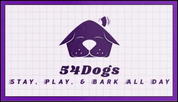 54Dogs Boarding and Day Play