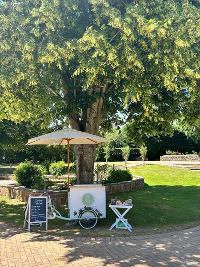 Tilly our sage green and cream ice cream bike
