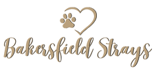 Bakersfield Strays