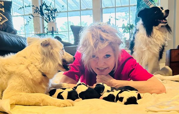 Alibi and Hustler 
Puppies  10/16/25