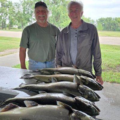 Two men proudly display their fresh catch of several large salmon on a cleaning table.