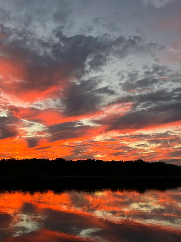 Fiery sunset sky reflected on calm water with silhouetted treeline.