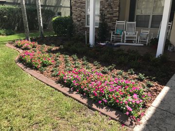 <img src="flowers" alt="multi-colored flowers planted in pine bark mulch">