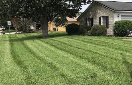 <img src="lawn.png" alt="green grass mowing stripes">