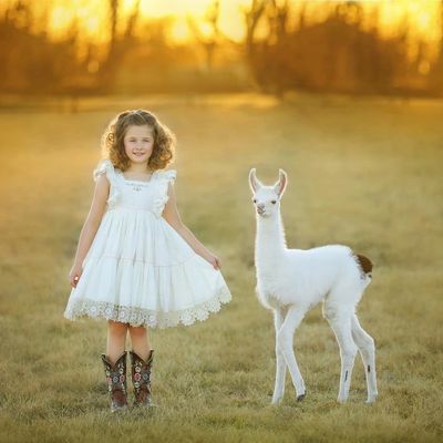 waco children llama photographer