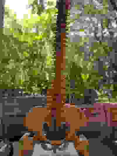 Treatment Dr Justin Lim Dr Selina Lim Professor Yoland Lim Health Care Laser JUVEFACE skin scoliosis