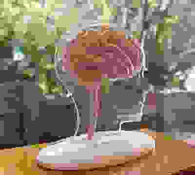 Best Acupuncture Treatment Medical Skin Treatment Brain Enhancement Program Herbal Medicine memory