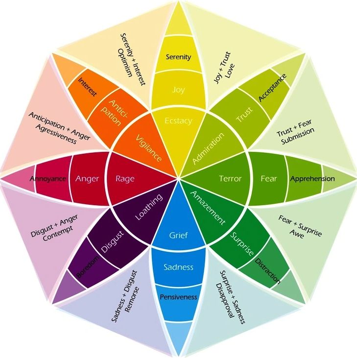 Wheel Of Emotions 