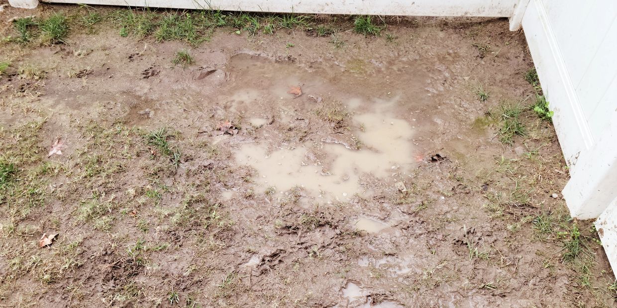 Mud puddle and fence