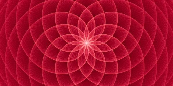 Holistic healing, holistic hair care, and hair balancing to prevent hair loss and reverse hair loss