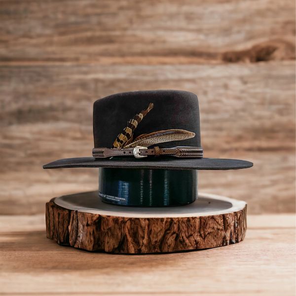 dark brown western hat with feathers