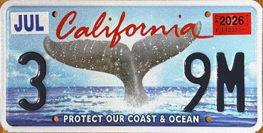 California license plate featuring a whale tail and ocean theme.