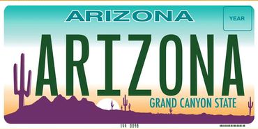 Arizona license plate with desert and cactus design.