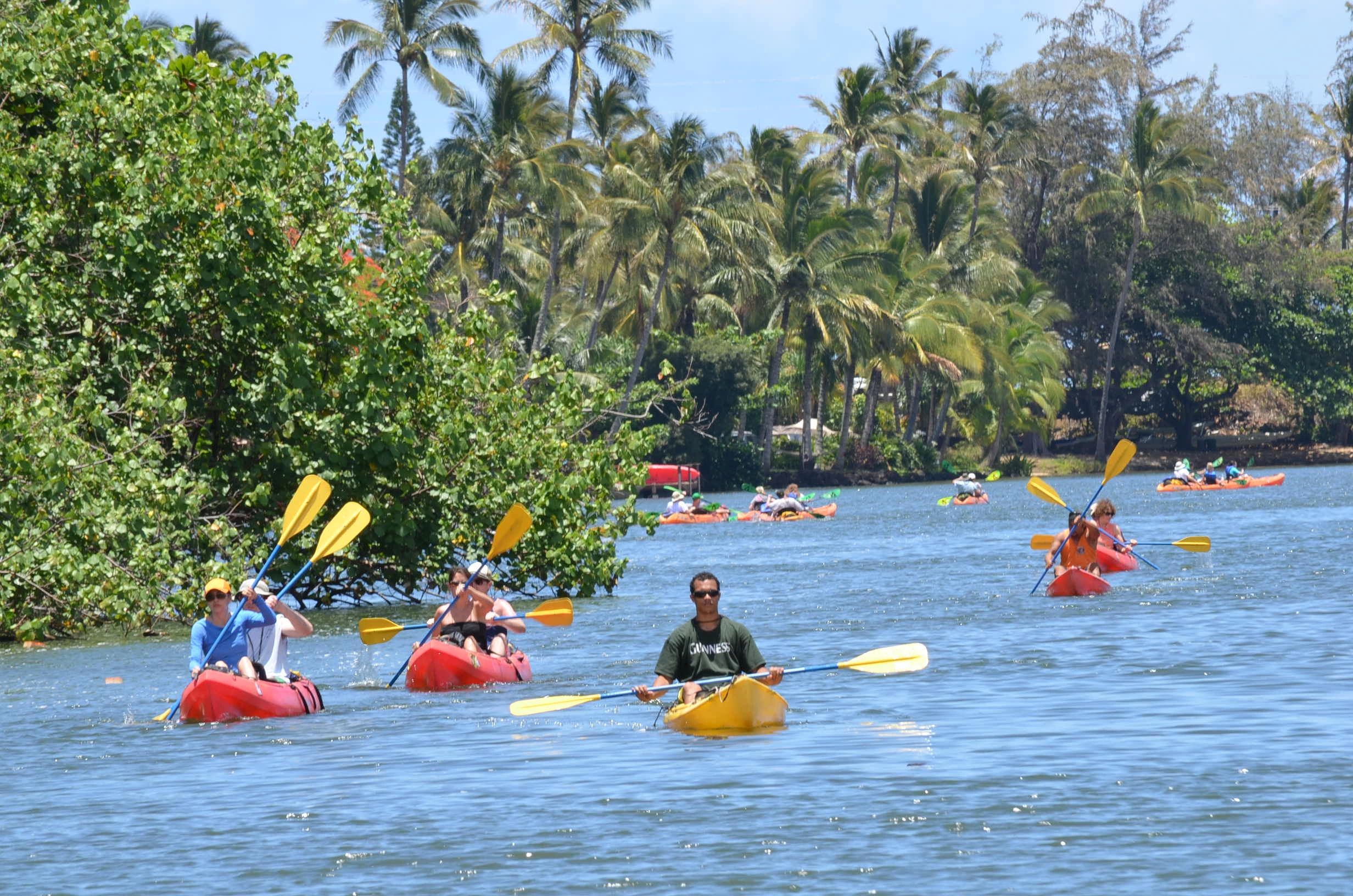 Kayak Tours Kauai Home