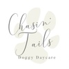 Chasin' Tails Doggy Daycare