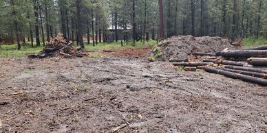 Cleared muddy forest area with piled logs and branches.