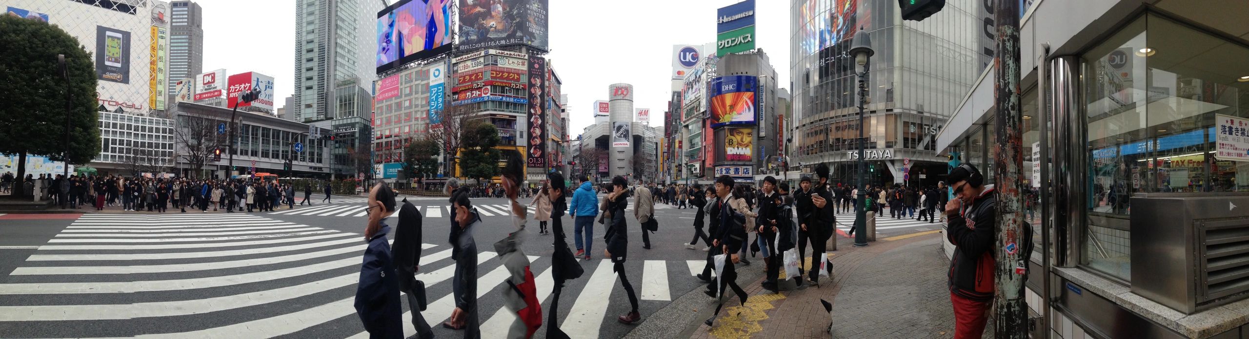 Learn Japanese Online or Face-to-Face with Japanese Language Lab