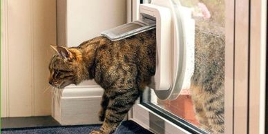A cat using a pet door to go outside through a glass door.