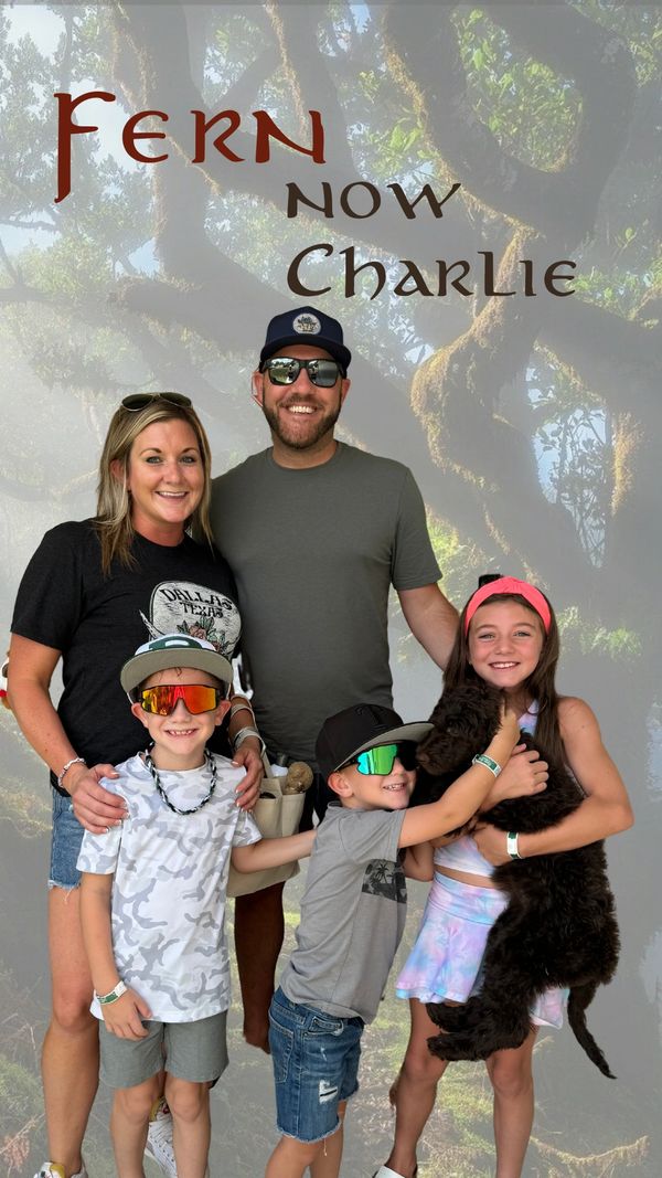 three young kids holding a chocolate goldendoodle in texas that they picked from ethical breeder