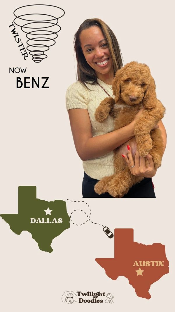 a black woman holding a red goldendoodle her basketball loving husband is waiting at home for him!