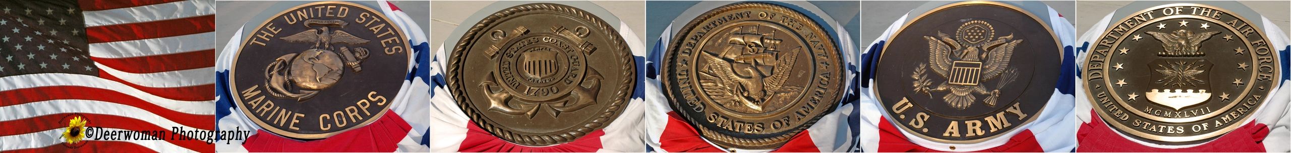 U.S. military branch plaques displayed with an American flag backdrop.