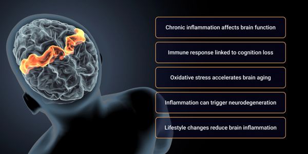 Brain inflammation impacts cognition and aging, lifestyle changes can help reduce it.
