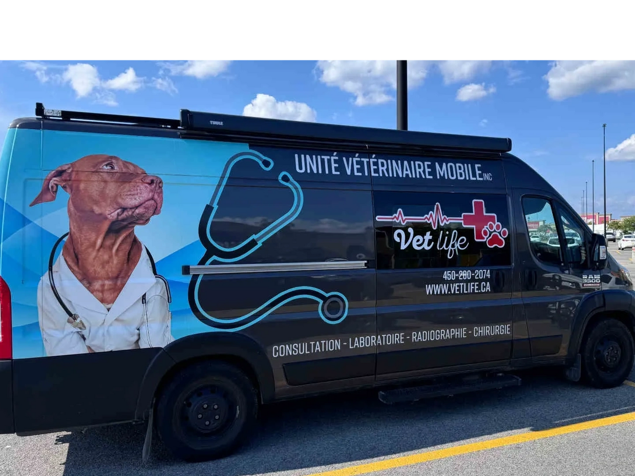 Vetlife