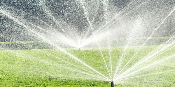 sprinkler system