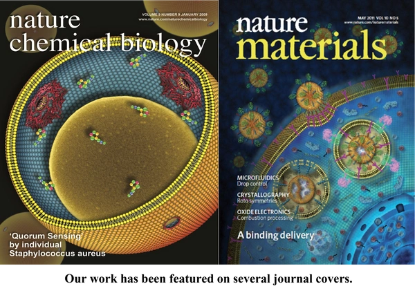 Two scientific journal covers illustrating cellular and molecular structures in vibrant detail.