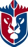 T. B. 
CONSULTING SERVICES
