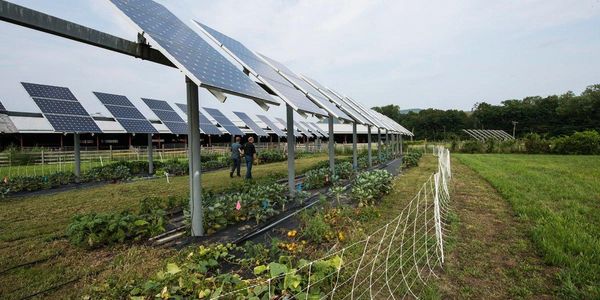 Solar panels installed above a cultivated farm field with two people inspecting.