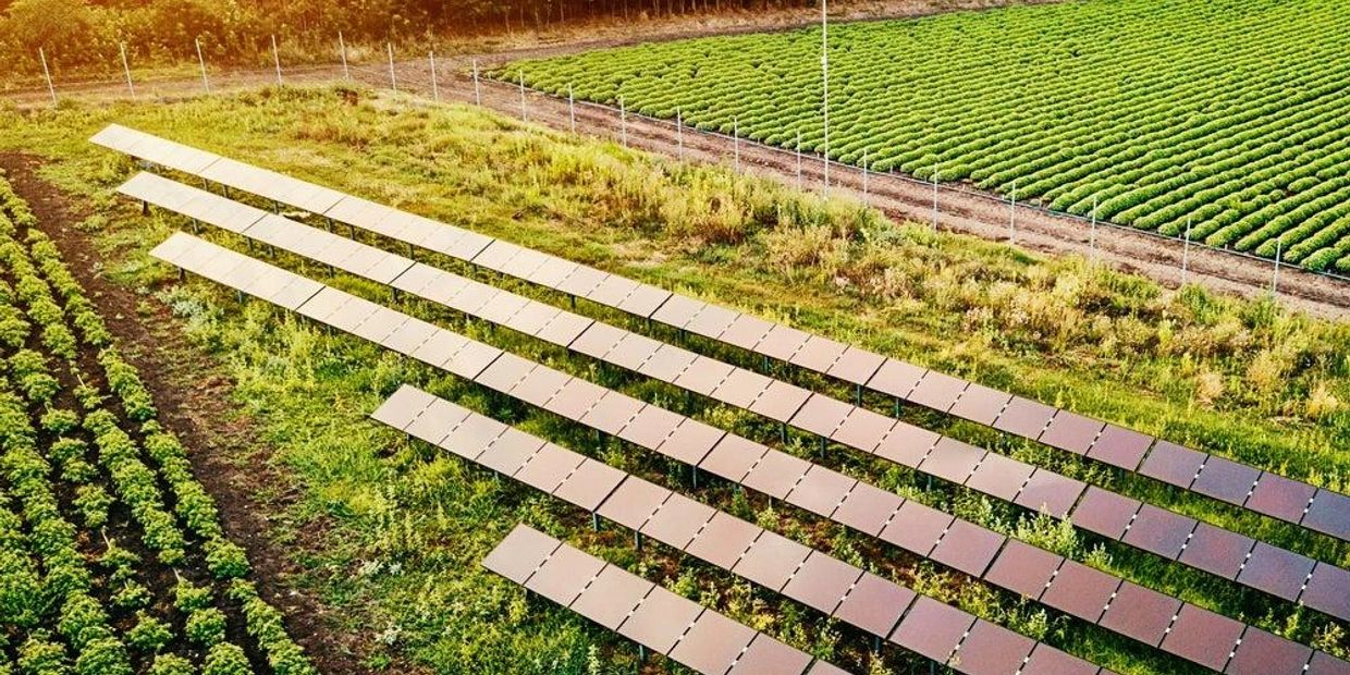 Solar panels installed in a lush green agricultural field.
