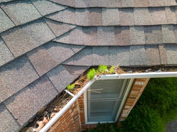 All Year Gutters